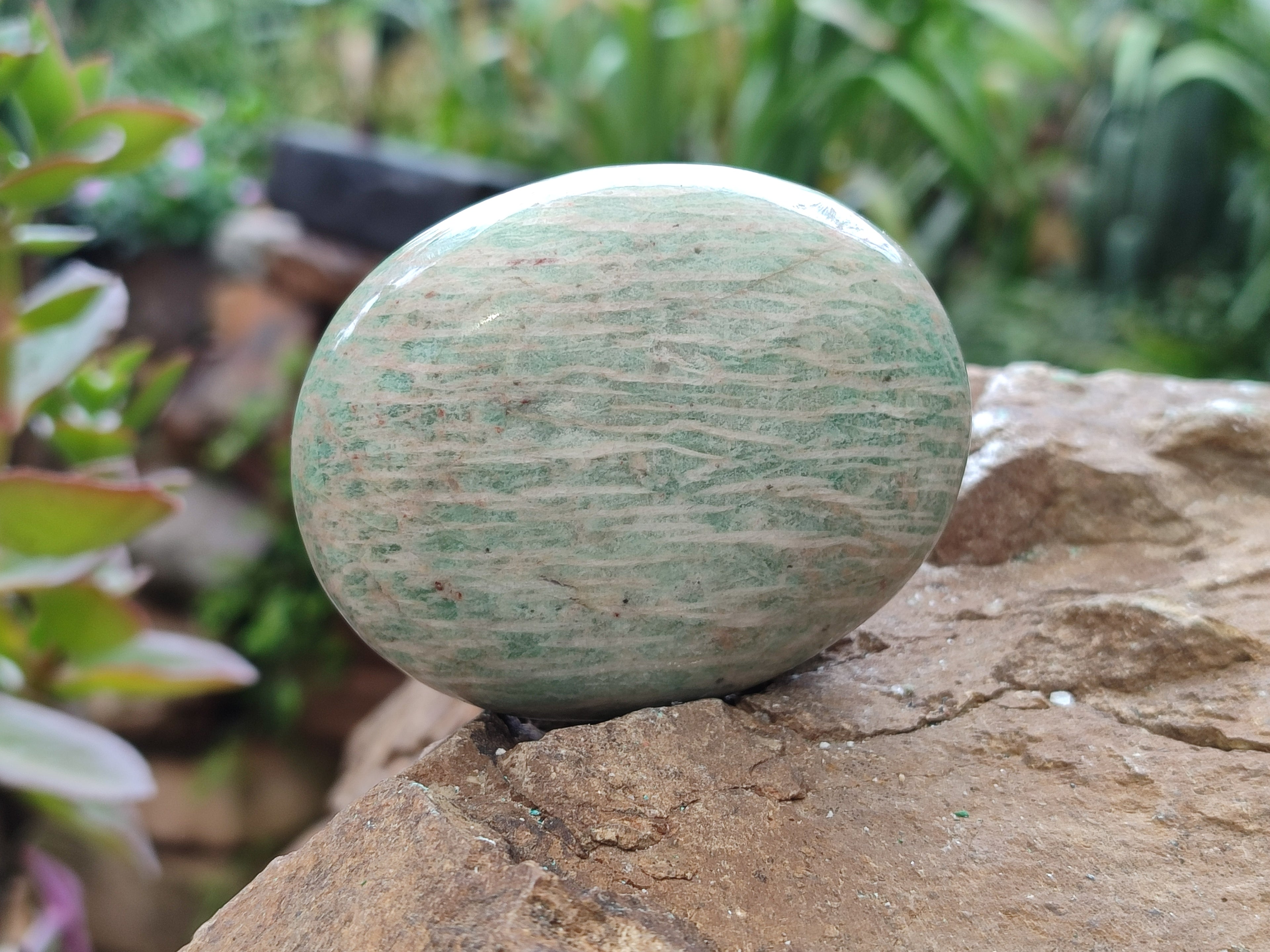 Polished Amazonite Standing Free Forms x 12 From Madagascar - Toprock Gemstones and Minerals 