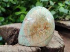 Polished Amazonite Standing Free Forms x 12 From Madagascar - Toprock Gemstones and Minerals 