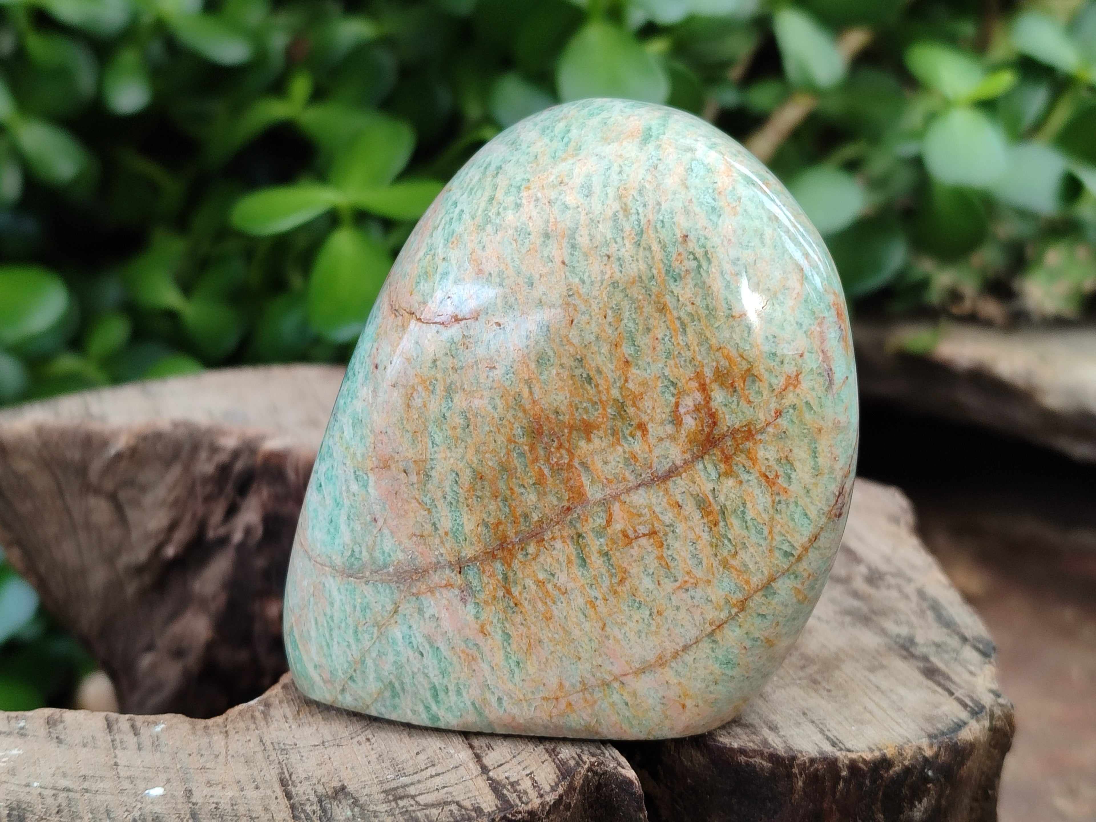 Polished Amazonite Standing Free Forms x 12 From Madagascar - Toprock Gemstones and Minerals 