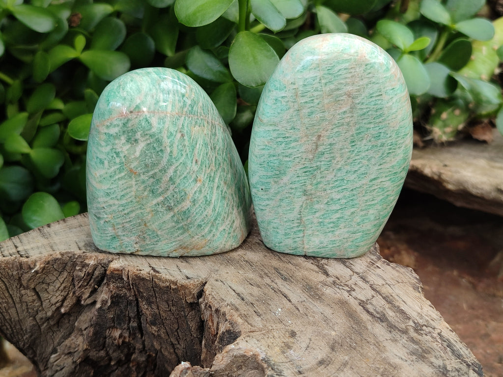 Polished Amazonite Standing Free Forms x 12 From Madagascar - Toprock Gemstones and Minerals 