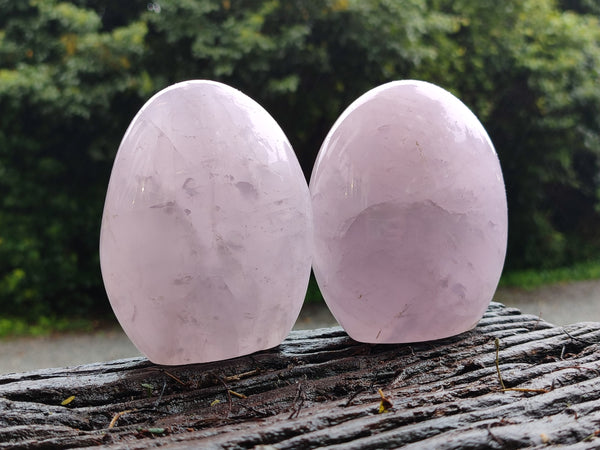 Polished Rose Quartz Standing Free Forms x 2 From Madagascar - Toprock Gemstones and Minerals 