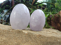 Polished Rose Quartz Standing Free Forms x 2 From Madagascar - Toprock Gemstones and Minerals 