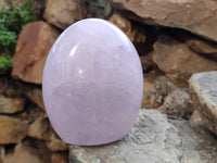 Polished Rose Quartz Standing Free Forms x 2 From Madagascar - Toprock Gemstones and Minerals 