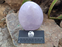 Polished Rose Quartz Standing Free Forms x 2 From Madagascar - Toprock Gemstones and Minerals 
