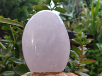 Polished Rose Quartz Standing Free Forms x 2 From Madagascar - Toprock Gemstones and Minerals 
