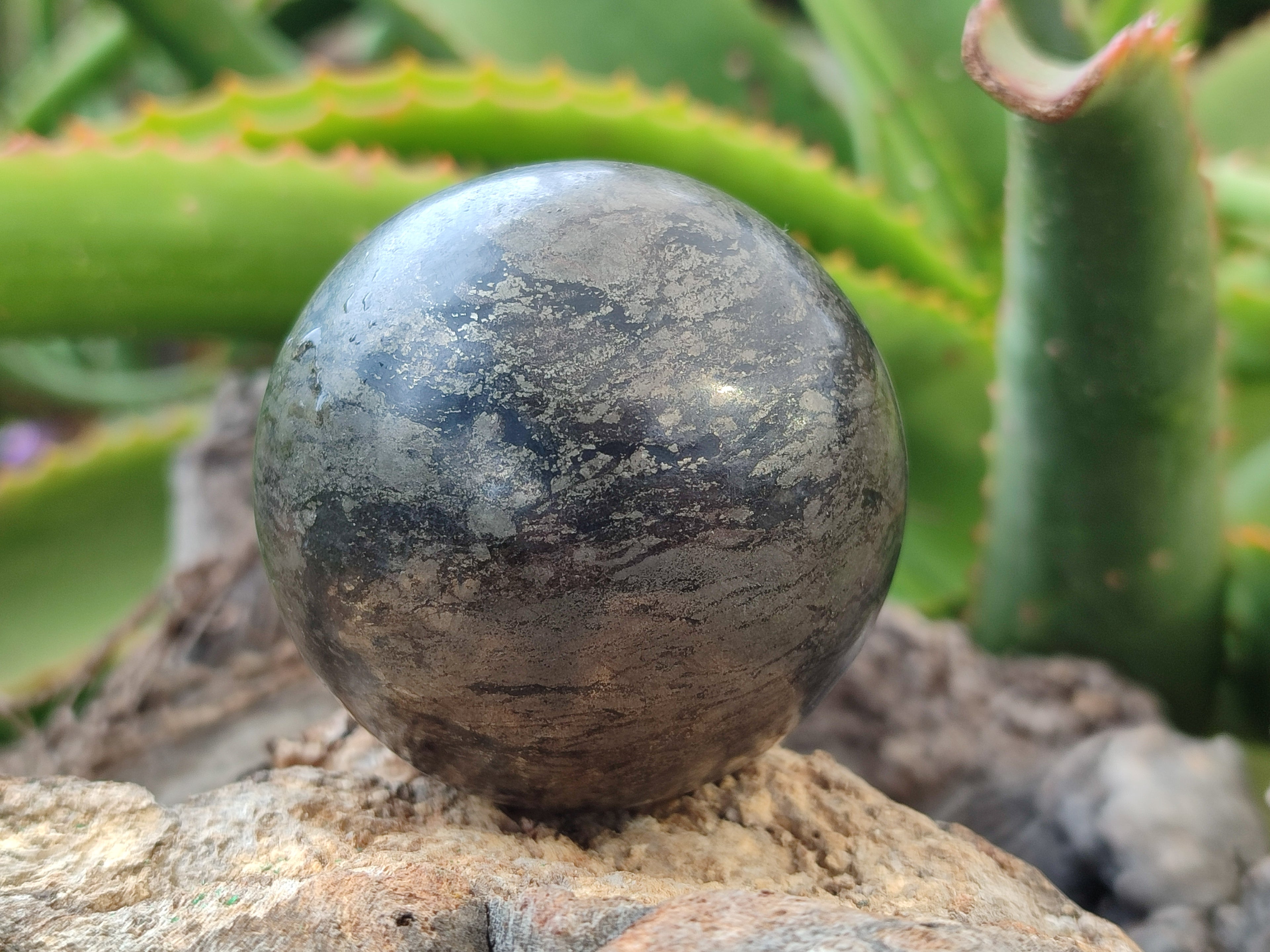 Polished Pharaoh Stone Spheres x 3 From Zimbabwe - Toprock Gemstones and Minerals 