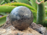 Polished Pharaoh Stone Spheres x 3 From Zimbabwe - Toprock Gemstones and Minerals 