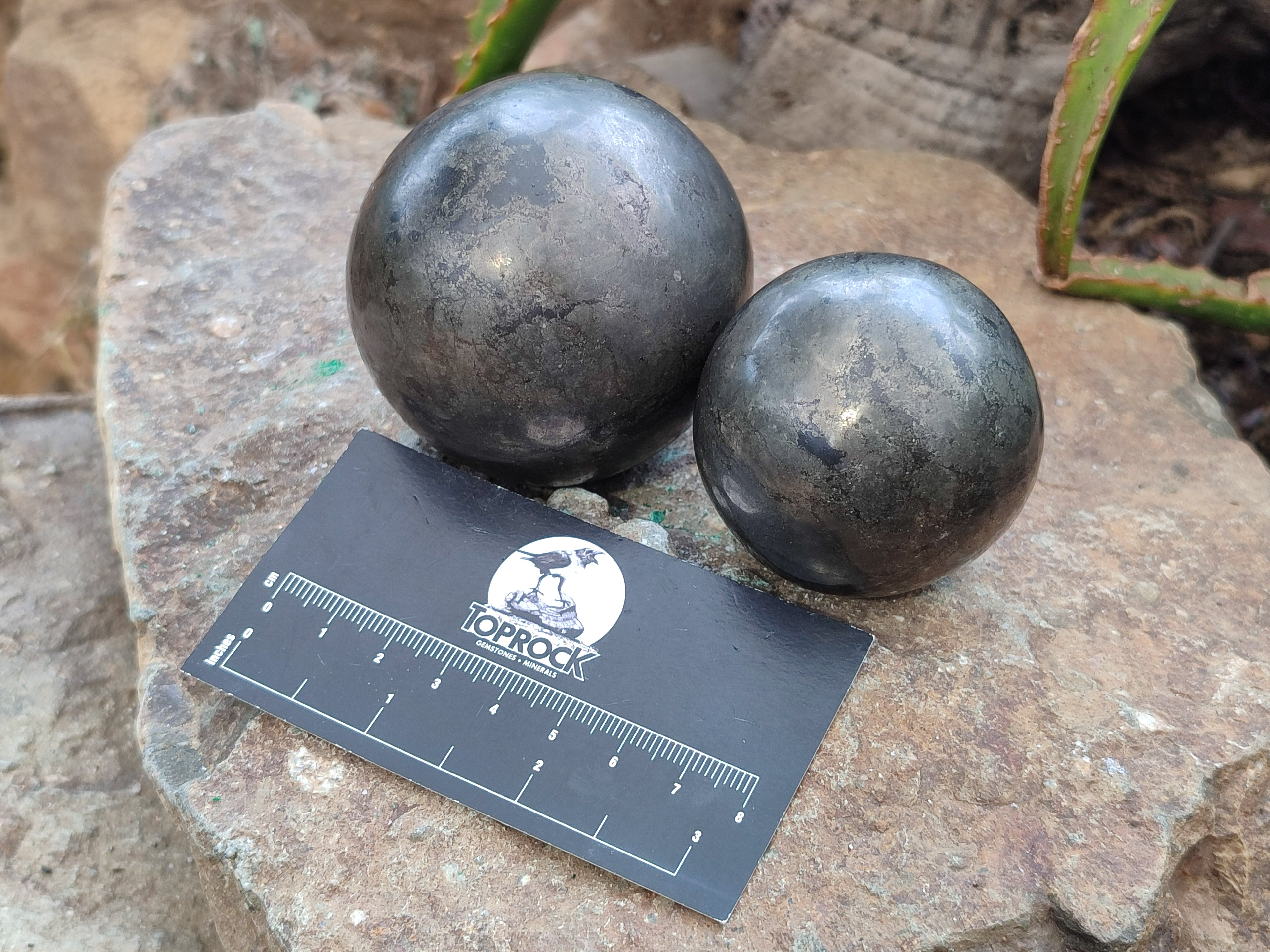 Polished Pharaoh Stone Spheres x 3 From Zimbabwe - Toprock Gemstones and Minerals 