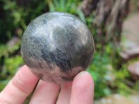 Polished Pharaoh Stone Spheres x 3 From Zimbabwe - Toprock Gemstones and Minerals 