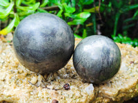 Polished Pharaoh Stone Spheres x 3 From Zimbabwe - Toprock Gemstones and Minerals 