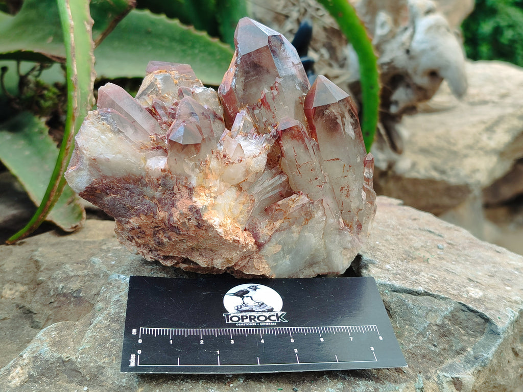Natural Red Hematoid Quartz Clusters x 2 From Karoi, Zimbabwe - Toprock Gemstones and Minerals 