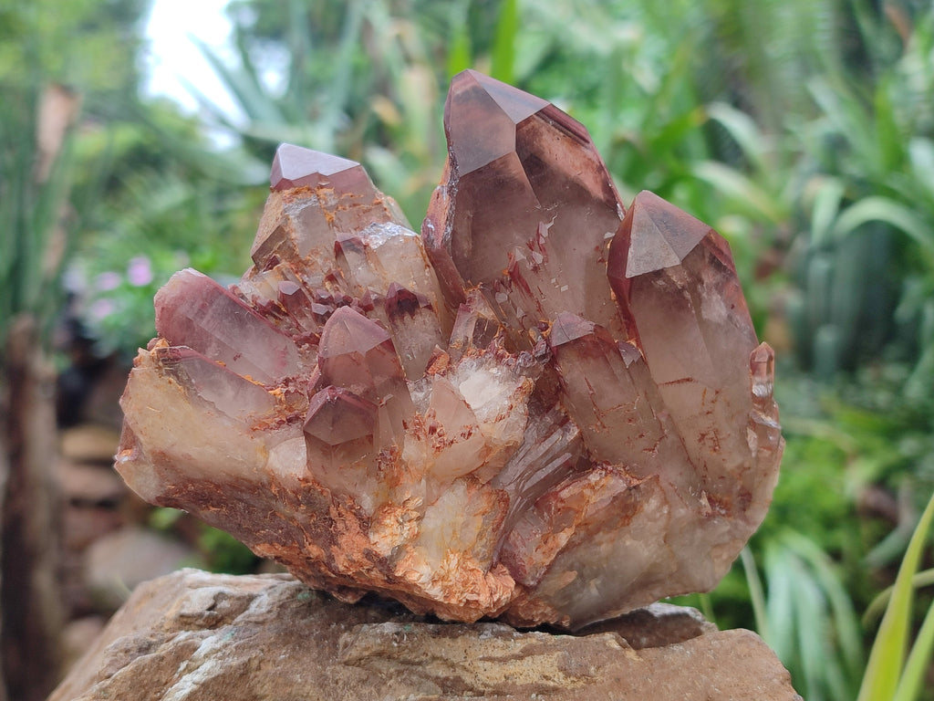 Natural Red Hematoid Quartz Clusters x 2 From Karoi, Zimbabwe - Toprock Gemstones and Minerals 