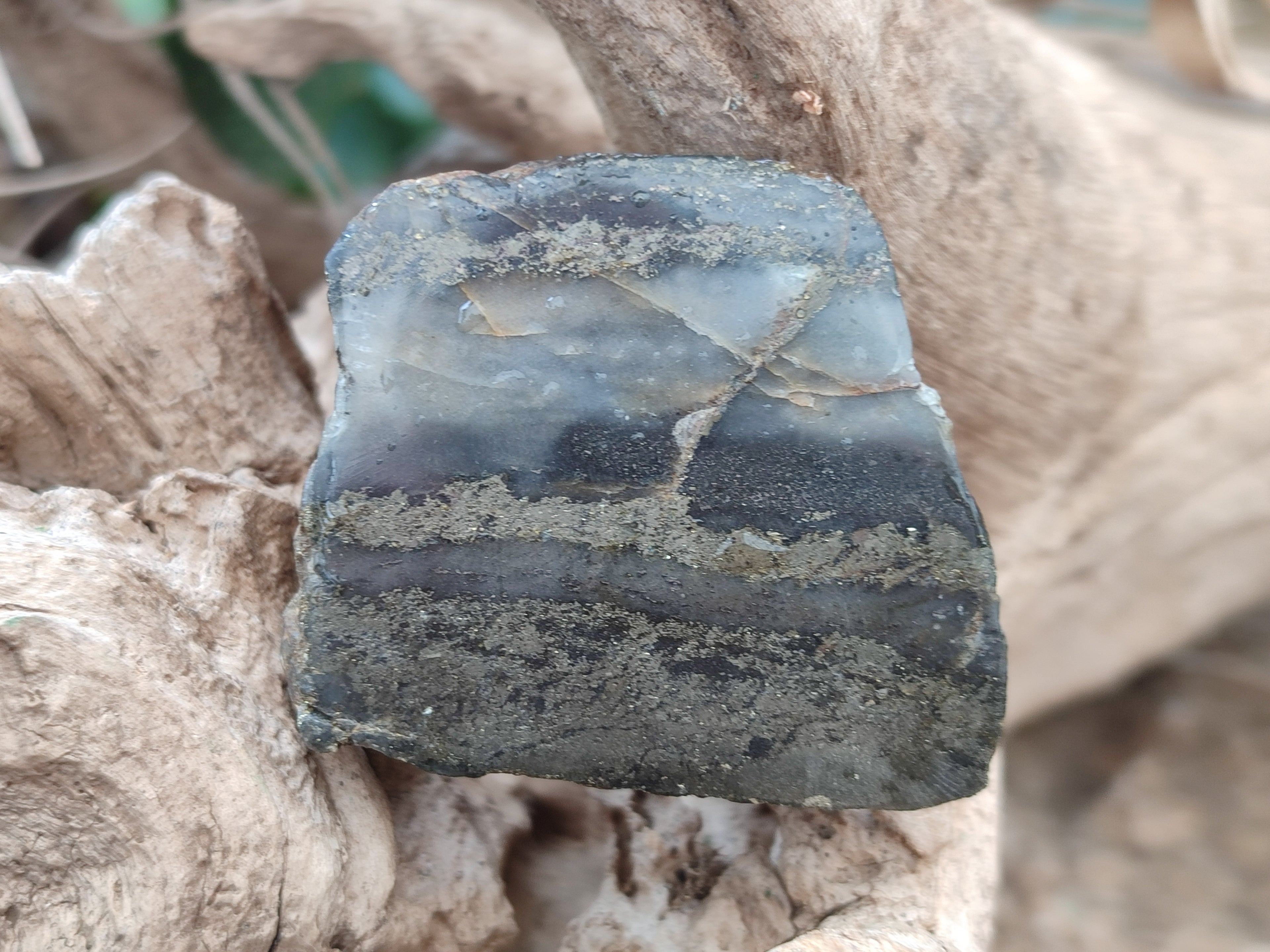 Polished On One Side Pharaoh Stone x 24 From Zimbabwe - Toprock Gemstones and Minerals 