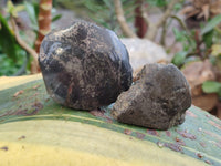 Polished On One Side Pharaoh Stone x 24 From Zimbabwe - Toprock Gemstones and Minerals 