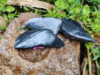 Polished On One Side Pharaoh Stone x 24 From Zimbabwe - Toprock Gemstones and Minerals 