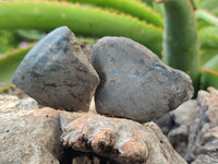 Polished On One Side Pharaoh Stone x 24 From Zimbabwe - Toprock Gemstones and Minerals 