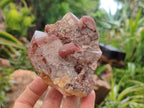 Natural Red Hematoid Quartz Clusters x 6 From Karoi, Zimbabwe - Toprock Gemstones and Minerals 