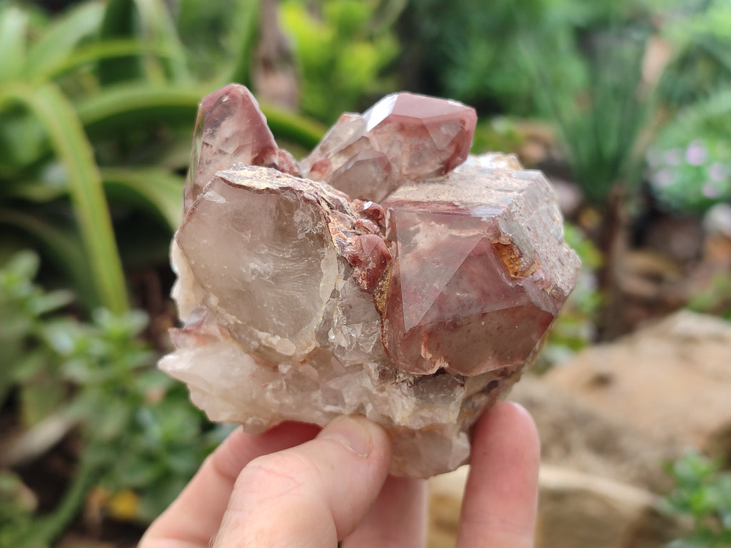Natural Red Hematoid Quartz Clusters x 6 From Karoi, Zimbabwe - Toprock Gemstones and Minerals 