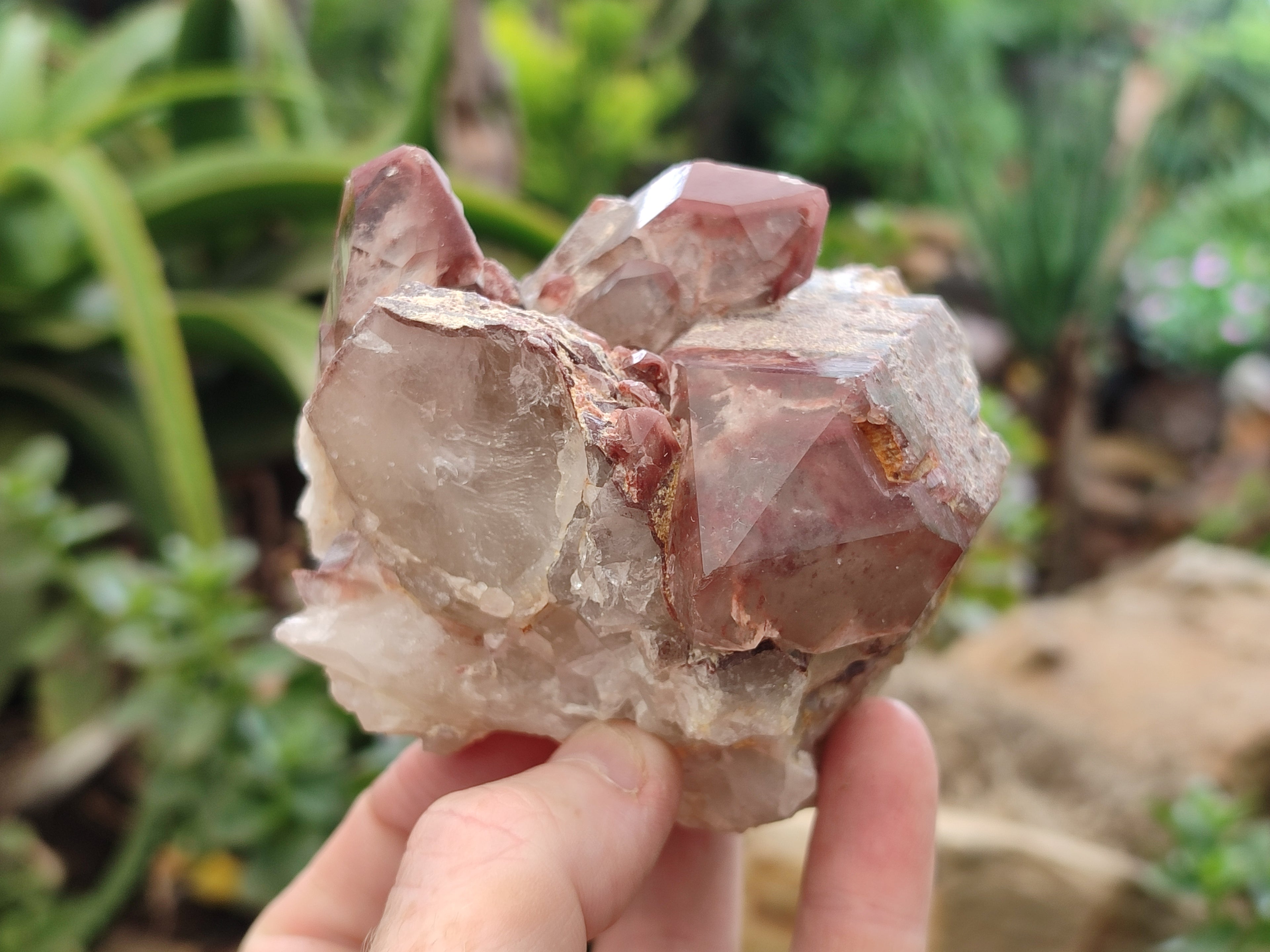 Natural Red Hematoid Quartz Clusters x 6 From Karoi, Zimbabwe - Toprock Gemstones and Minerals 