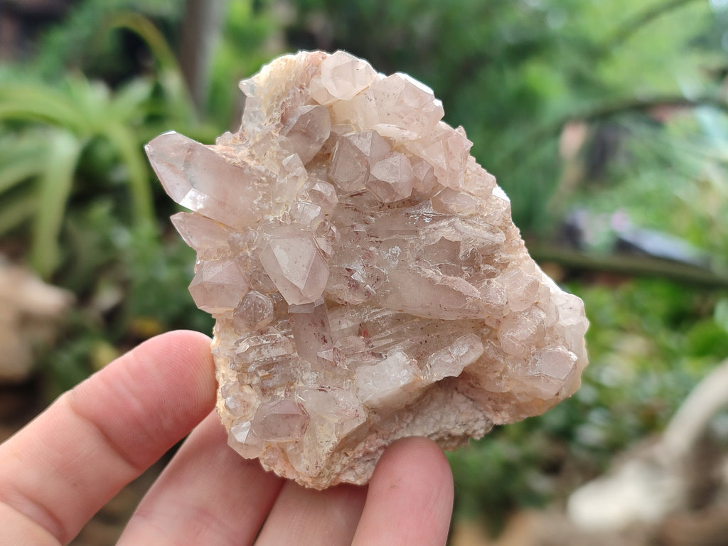 Natural Red Hematoid Quartz Clusters x 6 From Karoi, Zimbabwe - Toprock Gemstones and Minerals 