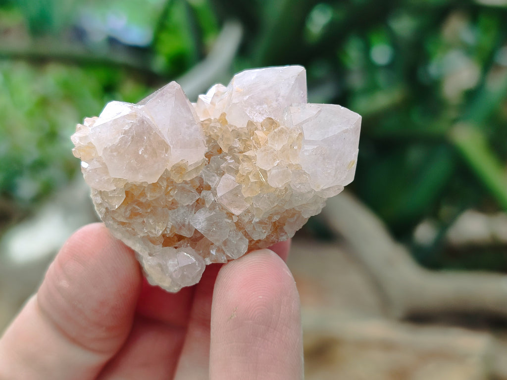 Natural Spirit Quartz Crystals x 63 From Boekenhouthoek, South Africa - Toprock Gemstones and Minerals 