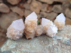 Natural Spirit Quartz Crystals x 63 From Boekenhouthoek, South Africa - Toprock Gemstones and Minerals 