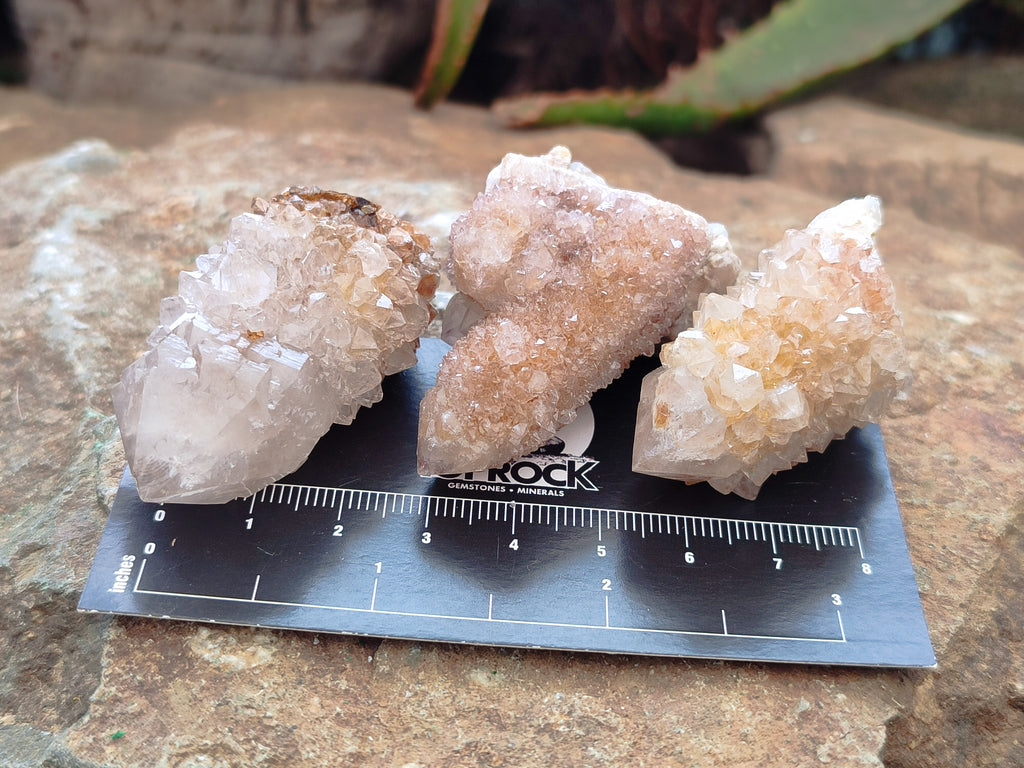 Natural Spirit Quartz Crystals x 63 From Boekenhouthoek, South Africa - Toprock Gemstones and Minerals 