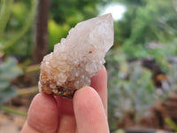 Natural Spirit Quartz Crystals x 63 From Boekenhouthoek, South Africa - Toprock Gemstones and Minerals 