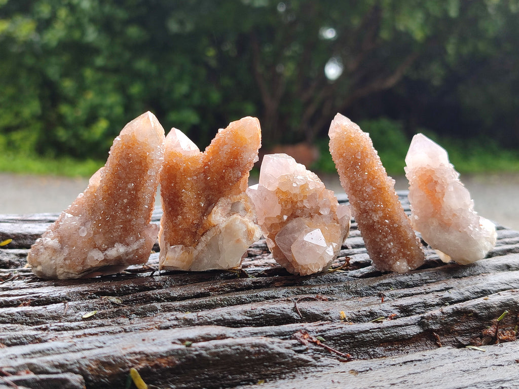 Natural Spirit Quartz Crystals x 63 From Boekenhouthoek, South Africa - Toprock Gemstones and Minerals 