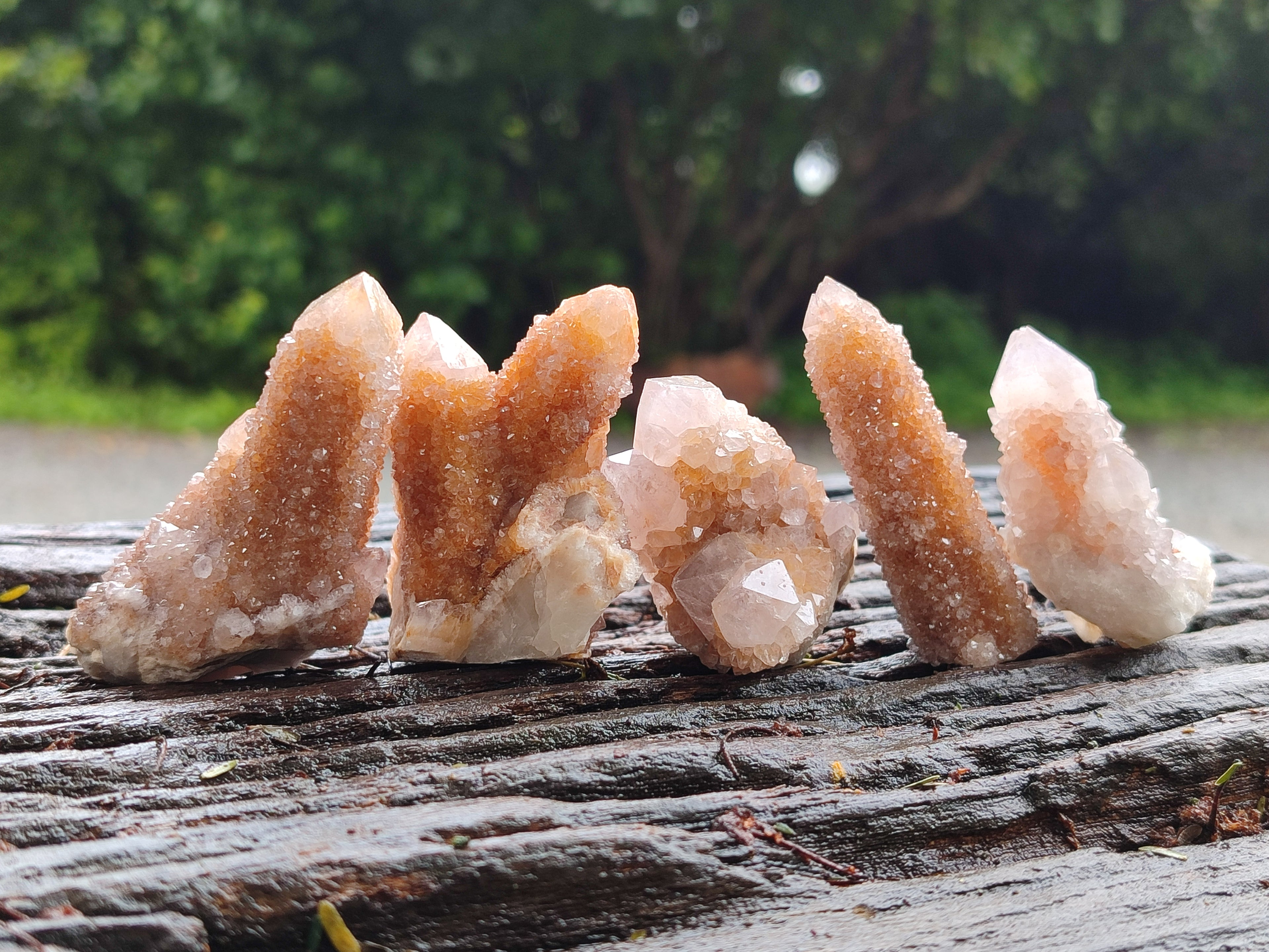 Natural Spirit Quartz Crystals x 63 From Boekenhouthoek, South Africa - Toprock Gemstones and Minerals 