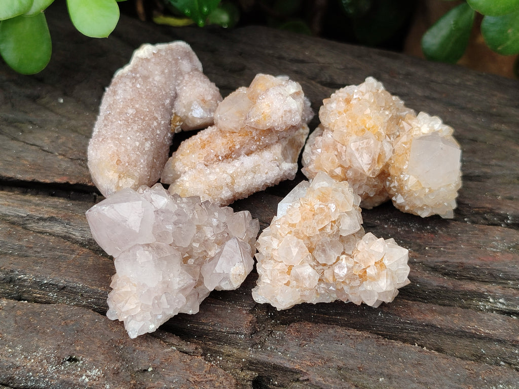 Natural Spirit Quartz Crystals x 63 From Boekenhouthoek, South Africa - Toprock Gemstones and Minerals 