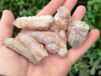 Natural Spirit Quartz Crystals x 63 From Boekenhouthoek, South Africa - Toprock Gemstones and Minerals 