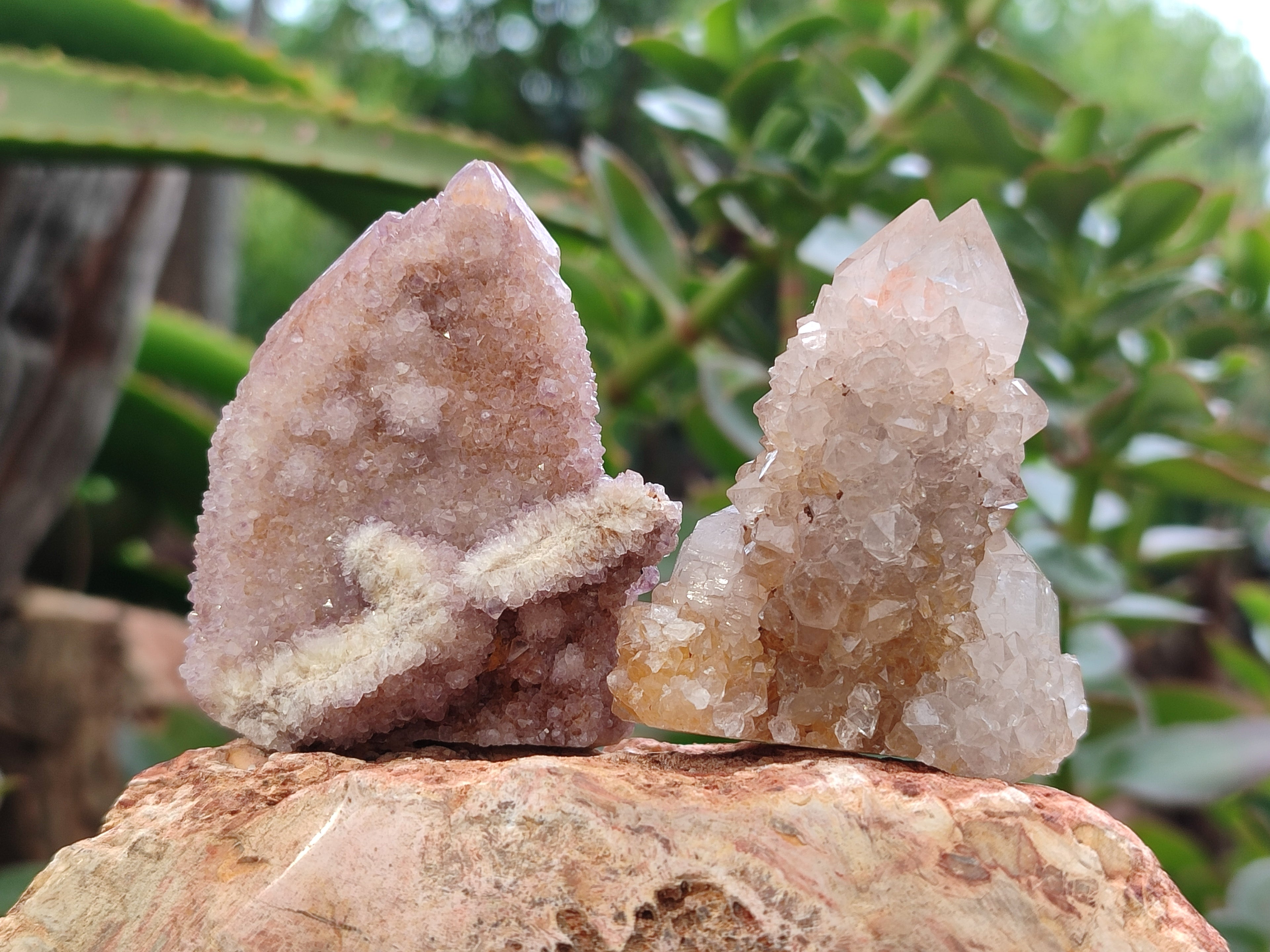 Natural Spirit Quartz Crystals x 63 From Boekenhouthoek, South Africa - Toprock Gemstones and Minerals 