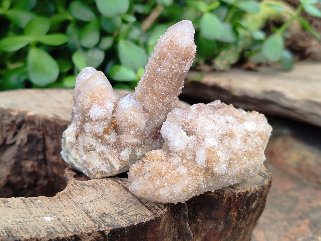 Natural Spirit Quartz Crystals x 63 From Boekenhouthoek, South Africa - Toprock Gemstones and Minerals 