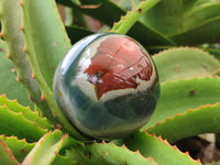 Polished Polychrome Jasper Spheres x 2 From Mahajanga, Madagascar - Toprock Gemstones and Minerals 