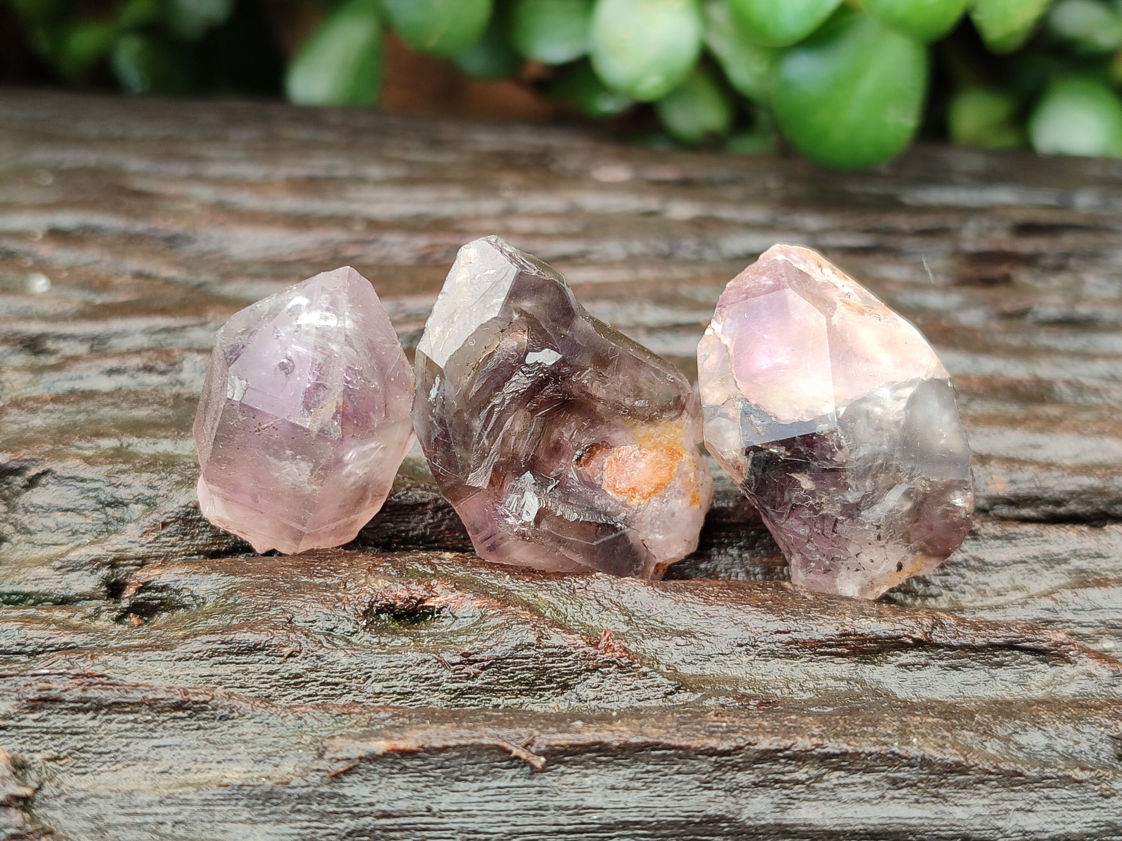 Natural Royal Zulu Amethyst Crystals x 35 from KwaZulu Natal, South Africa - Toprock Gemstones and Minerals 