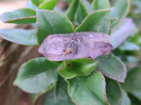 Natural Royal Zulu Amethyst Crystals x 35 from KwaZulu Natal, South Africa - Toprock Gemstones and Minerals 