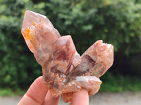 Natural Red Hematoid Quartz Clusters x 6 From Karoi, Zimbabwe - Toprock Gemstones and Minerals 