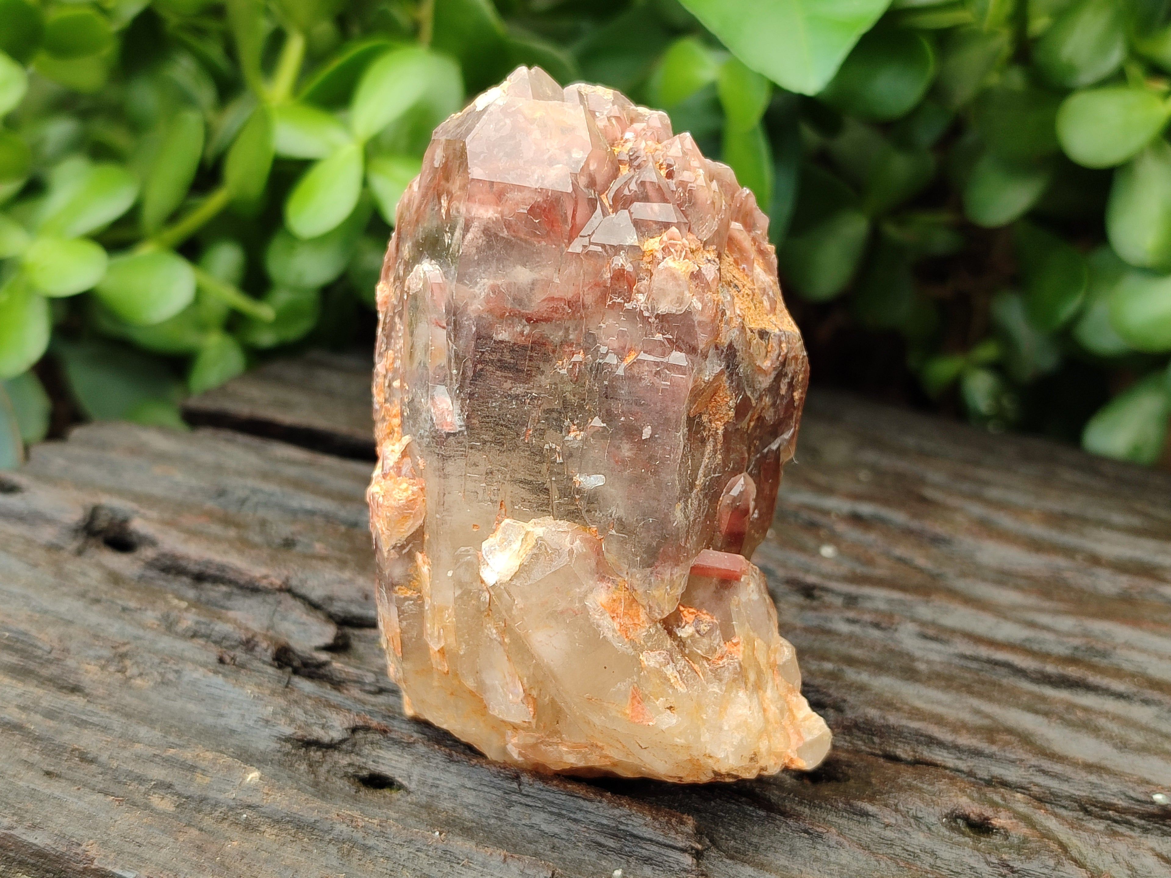 Natural Red Hematoid Quartz Clusters x 6 From Karoi, Zimbabwe - Toprock Gemstones and Minerals 