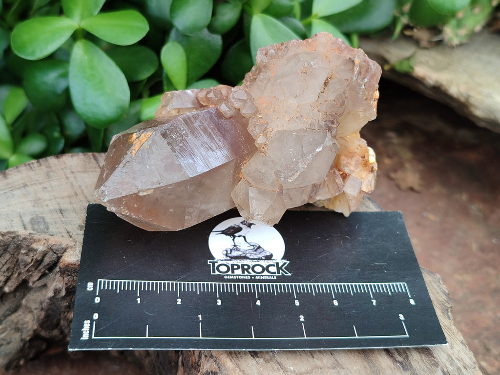 Natural Red Hematoid Quartz Clusters x 6 From Karoi, Zimbabwe - Toprock Gemstones and Minerals 