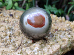 Polished Polychrome Jasper Spheres x 4 From Mahajanga, Madagascar - Toprock Gemstones and Minerals 