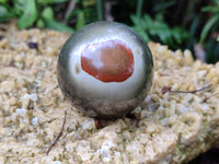 Polished Polychrome Jasper Spheres x 4 From Mahajanga, Madagascar - Toprock Gemstones and Minerals 