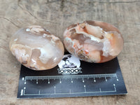 Polished Flower Agate Palm Stones x 12 From Madagascar - Toprock Gemstones and Minerals 