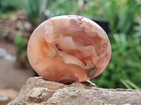 Polished Flower Agate Palm Stones x 12 From Madagascar - Toprock Gemstones and Minerals 