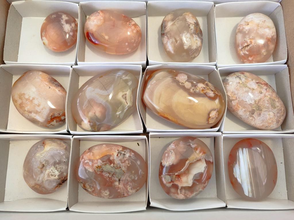 Polished Flower Agate Palm Stones x 12 From Madagascar - Toprock Gemstones and Minerals 