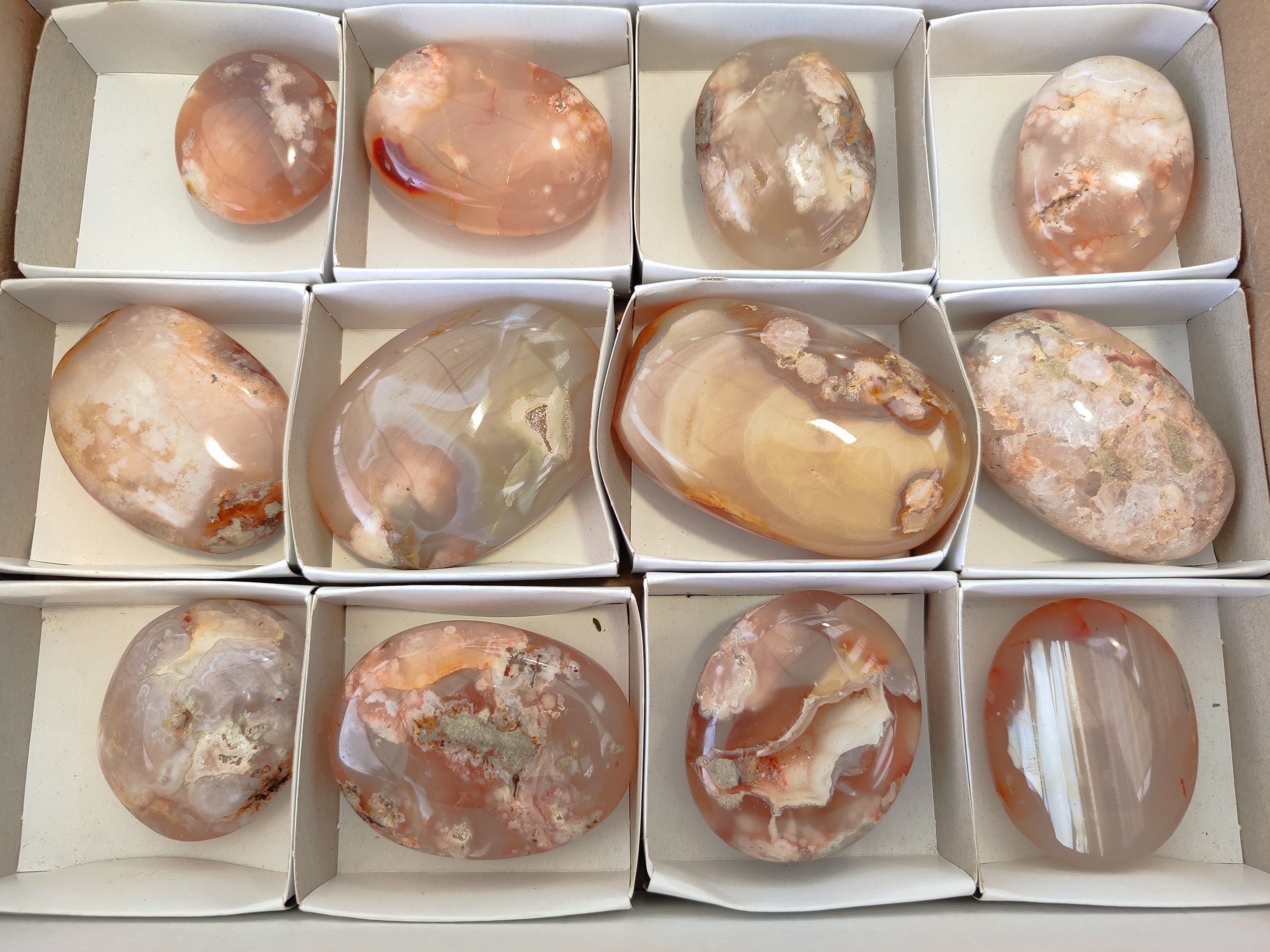 Polished Flower Agate Palm Stones x 12 From Madagascar - Toprock Gemstones and Minerals 