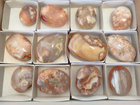 Polished Flower Agate Palm Stones x 12 From Madagascar - Toprock Gemstones and Minerals 