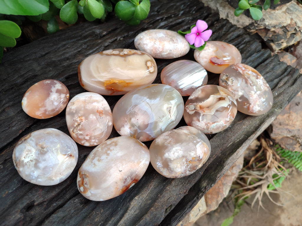 Polished Flower Agate Palm Stones x 12 From Madagascar - Toprock Gemstones and Minerals 