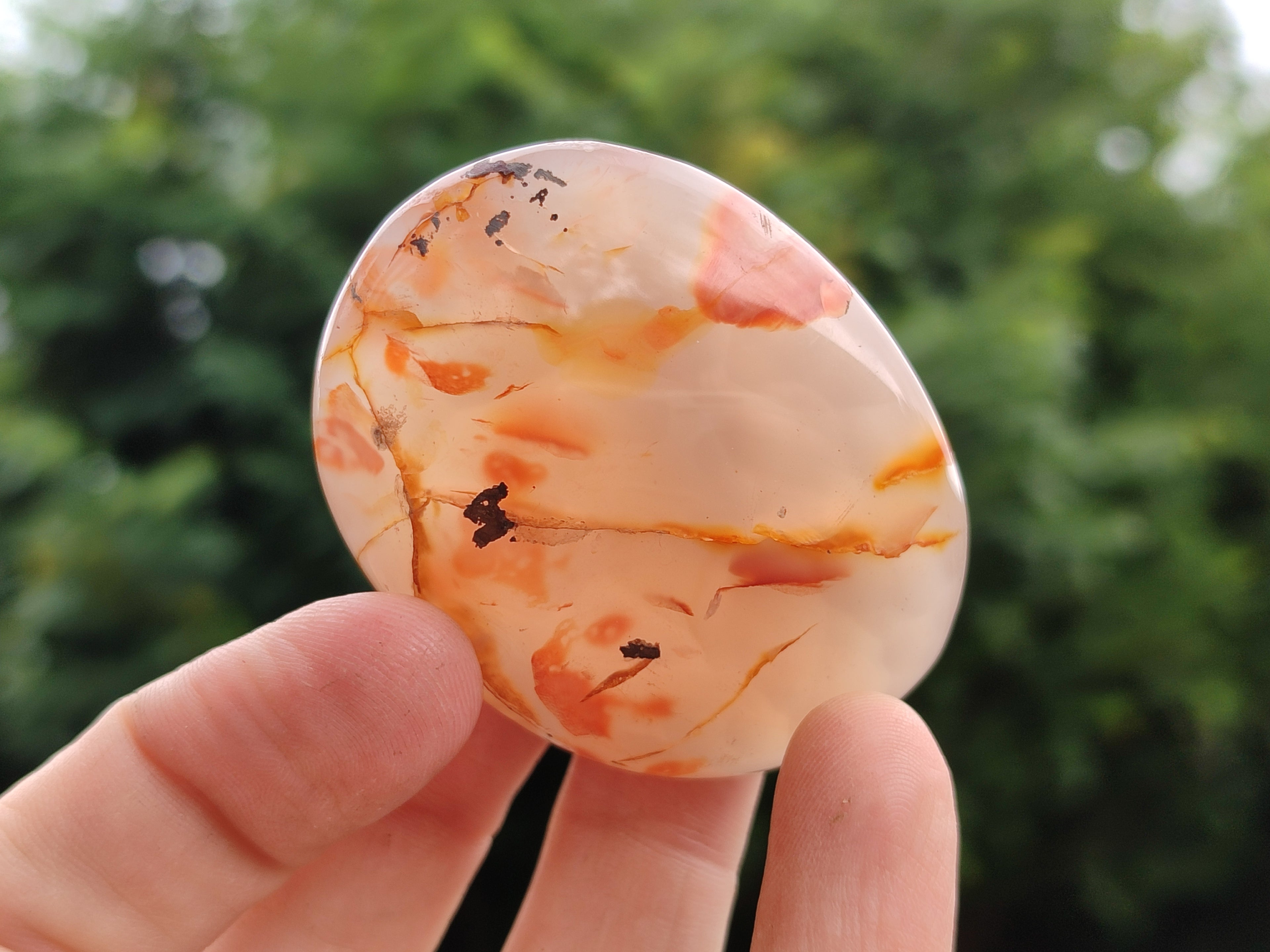 Polished Flower Agate Palm Stones x 12 From Madagascar - Toprock Gemstones and Minerals 