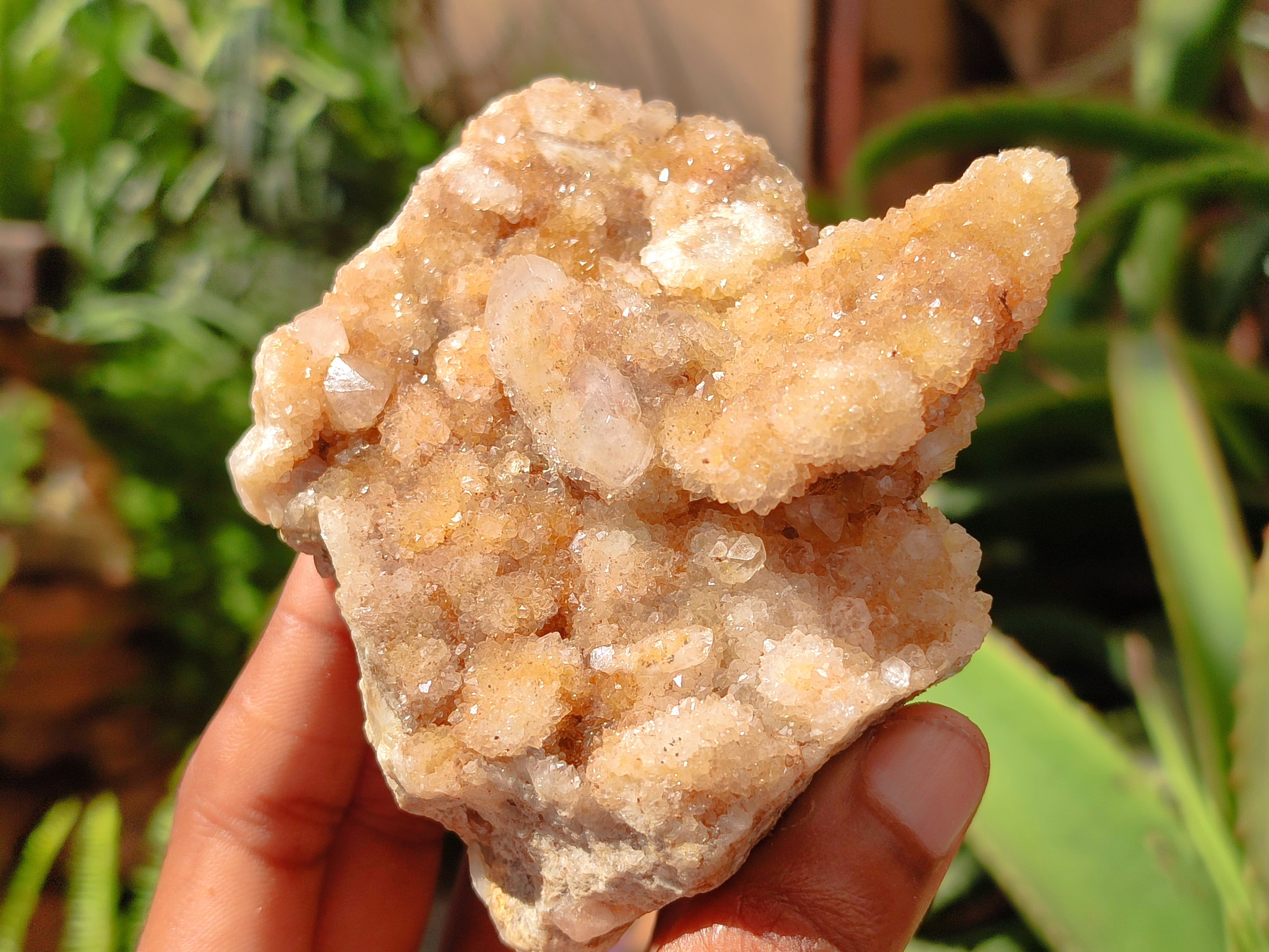 Natural Spirit Quartz Clusters x 6 From Boekenhouthoek, South Africa - Toprock Gemstones and Minerals 